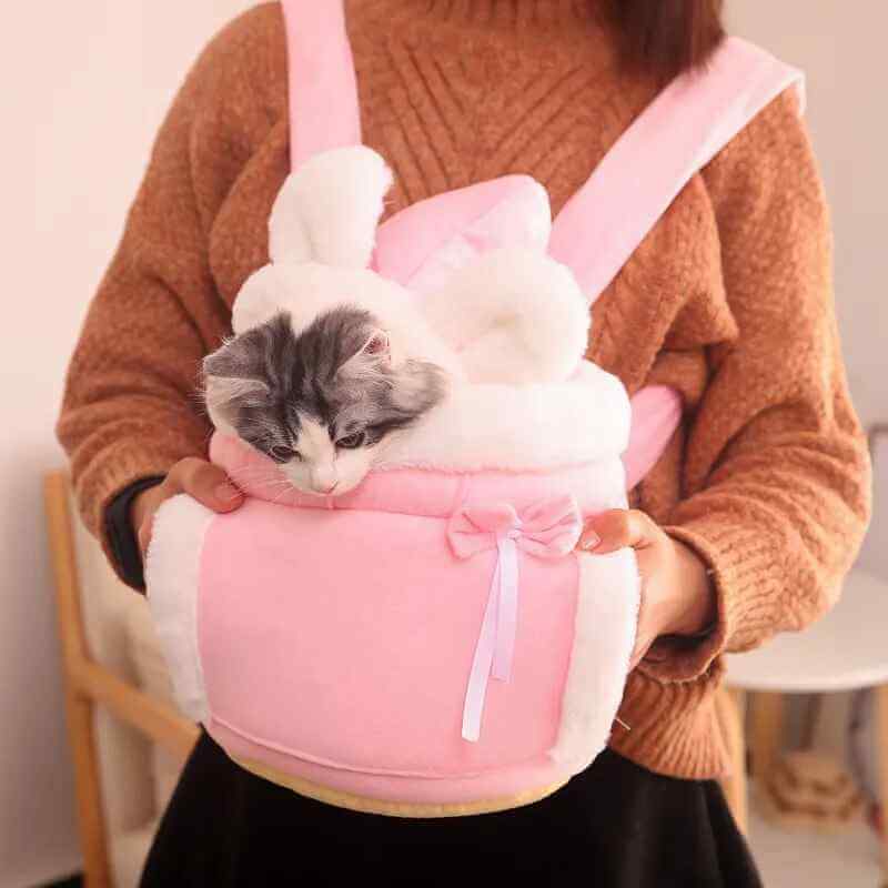 Cat Carrier Backpack Warm for Winter