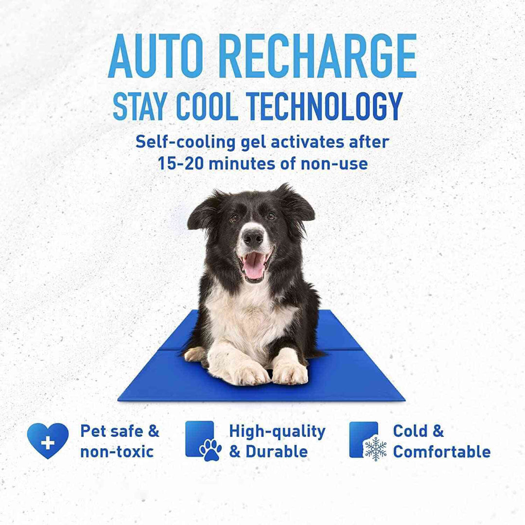 This innovative Dog Cooling Mat uses a gel to keep your dog cool and comfortable. 
