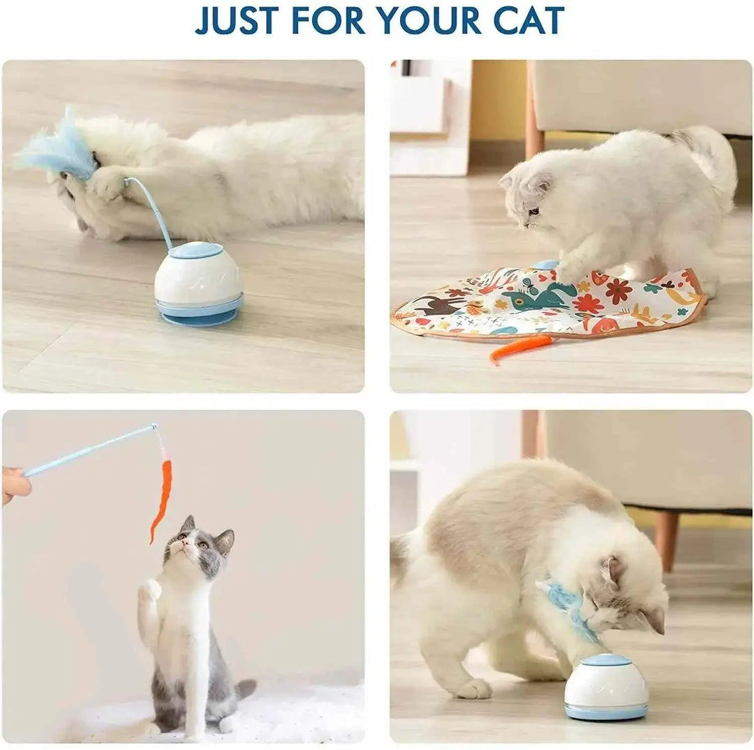 Electric Cat Toys: Electric Toy Teasing Feather for Cat Interactive