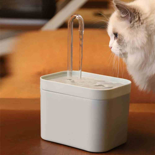 Cat Water Fountain Electric Hydration for Dogs & Cats