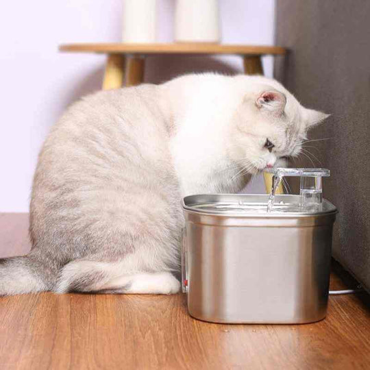 Cat Water Fountain 2.2L Stainless Steel Automatic Cycle Pets Cat Dog