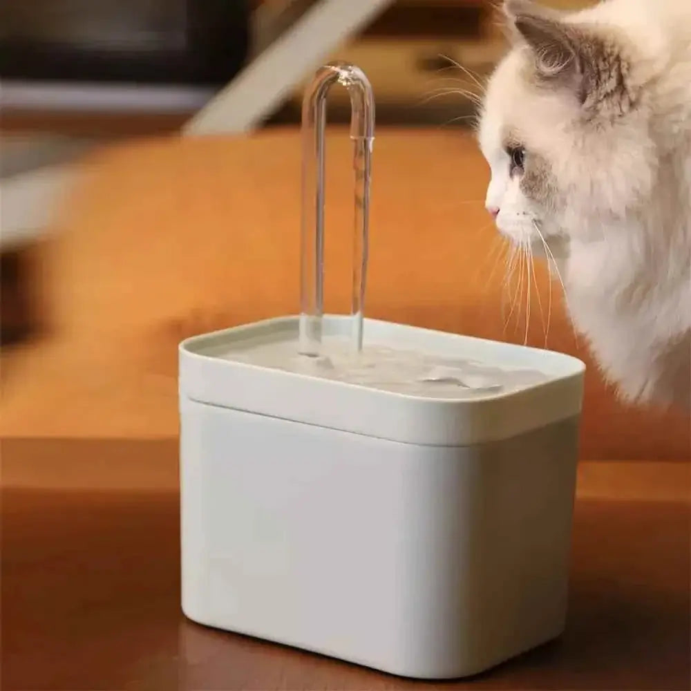 Pet Water Fountain for Dog & Cat : Top Rated Water Fountain