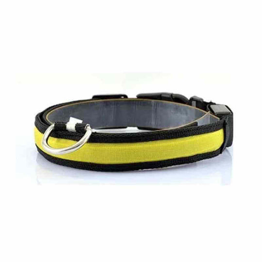 LED Dog Collar Flashing Collars, USB Rechargeable Light Up Dog Collar