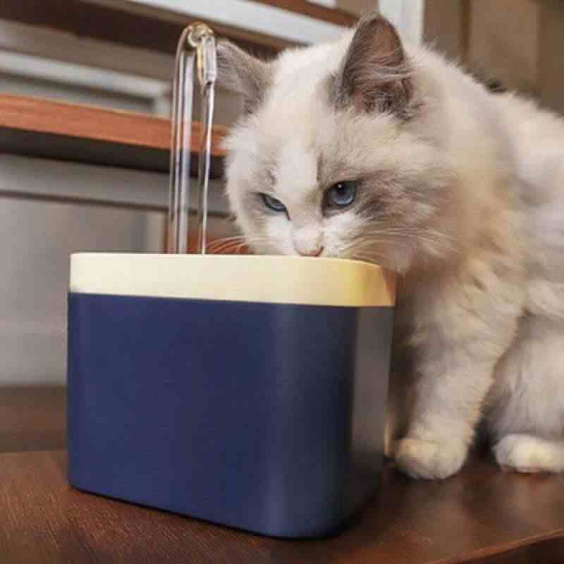 Cat Water Fountain Electric Hydration for Dogs & Cats