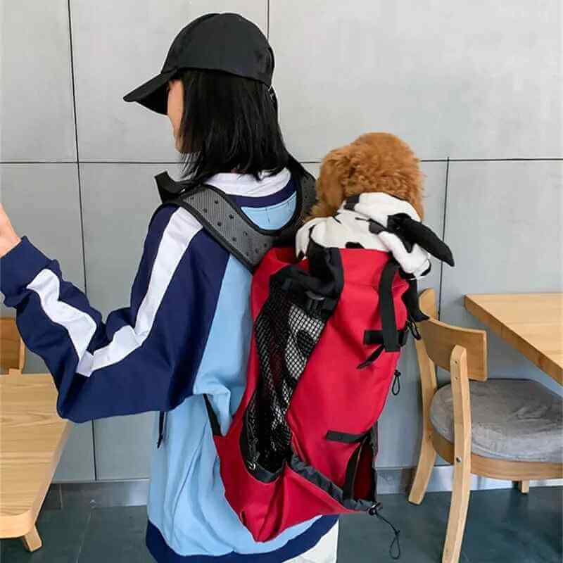 Cat Carrier Backpack Outdoor Travel Backpack for Big Dog & Cat